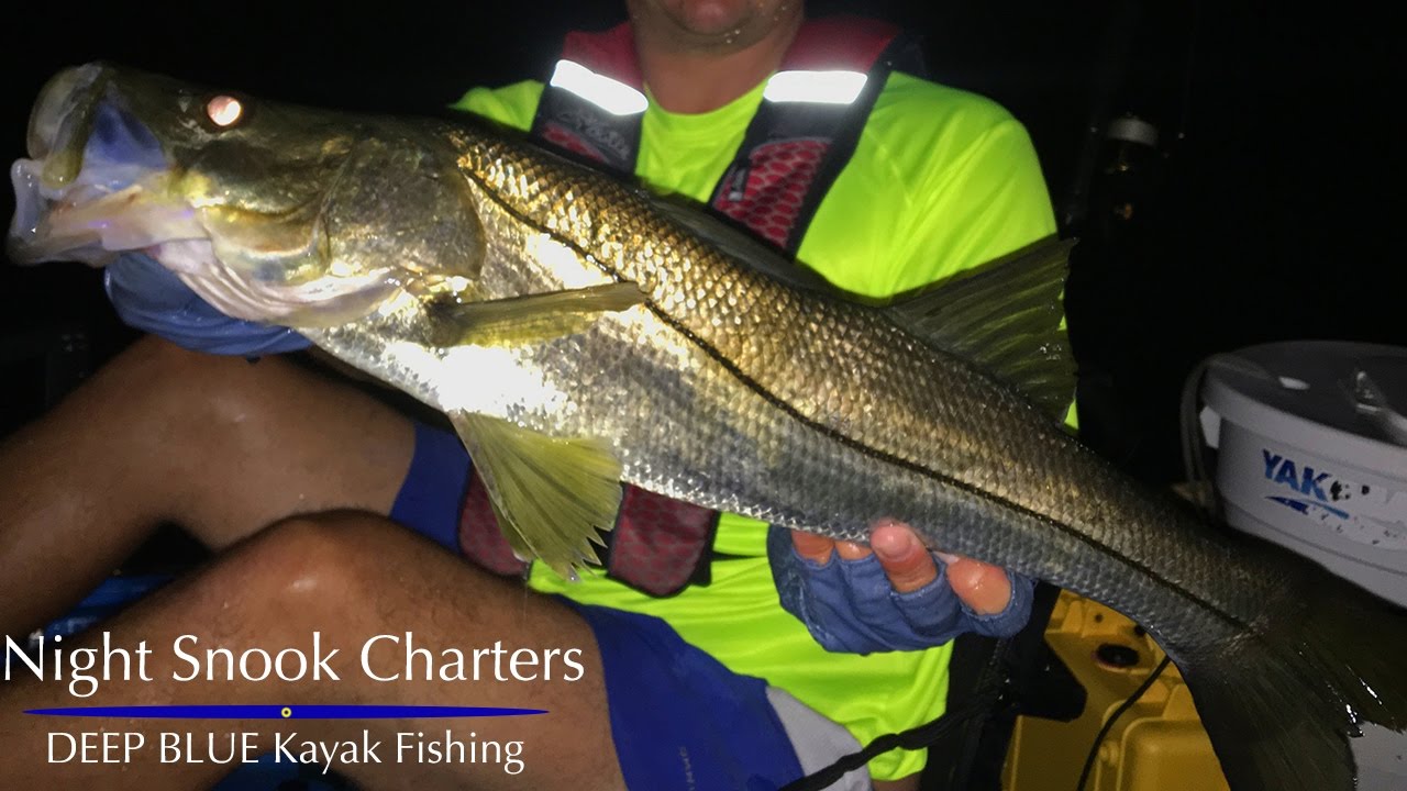 Night Snook Fishing Southeast Florida - DEEP BLUE