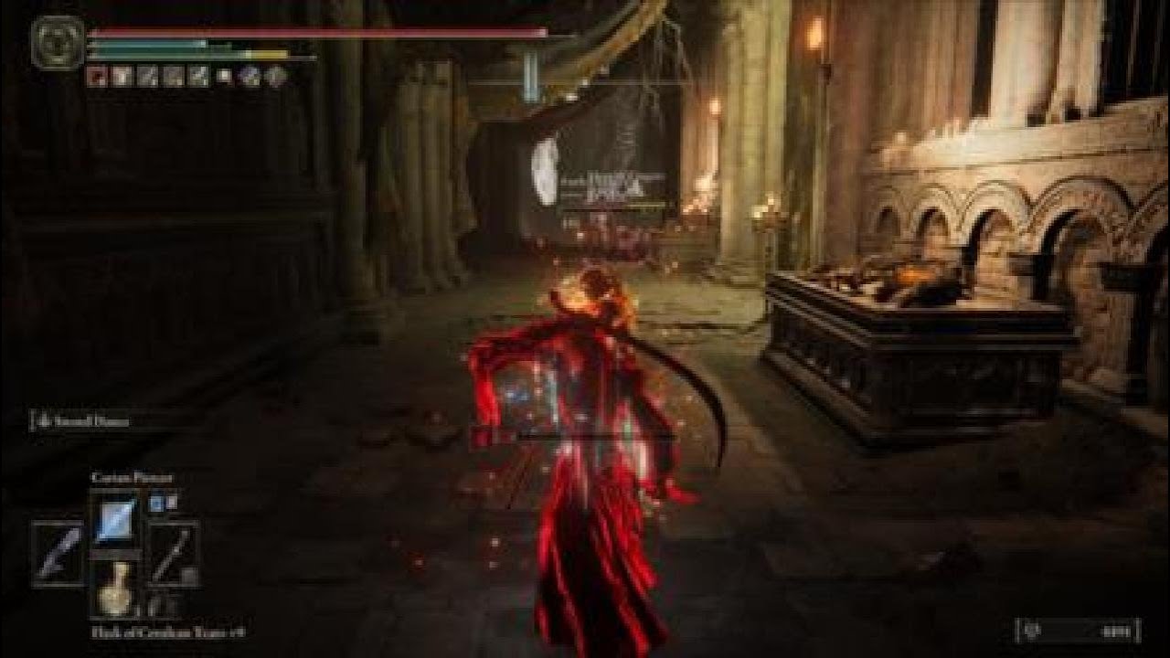 ELDEN RING Arc Int invasions 2