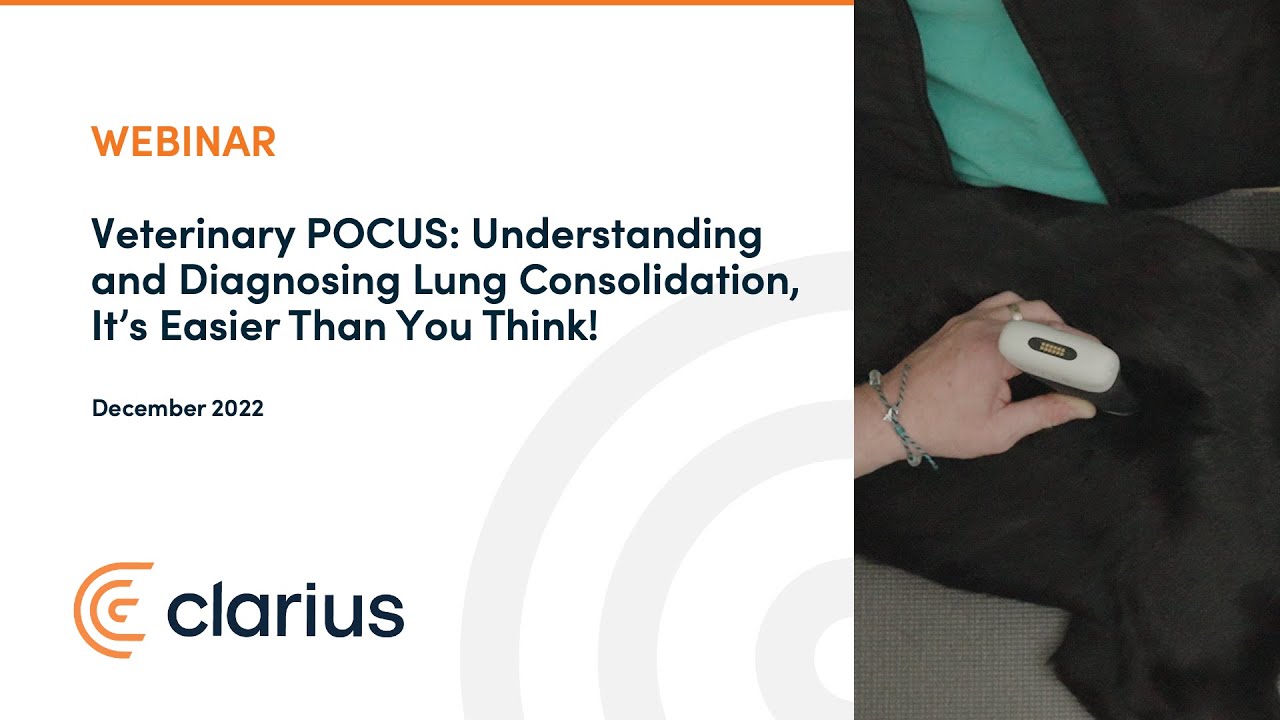 Veterinary POCUS: Understanding and Diagnosing Lung Consolidation, It’s Easier Than You Think!