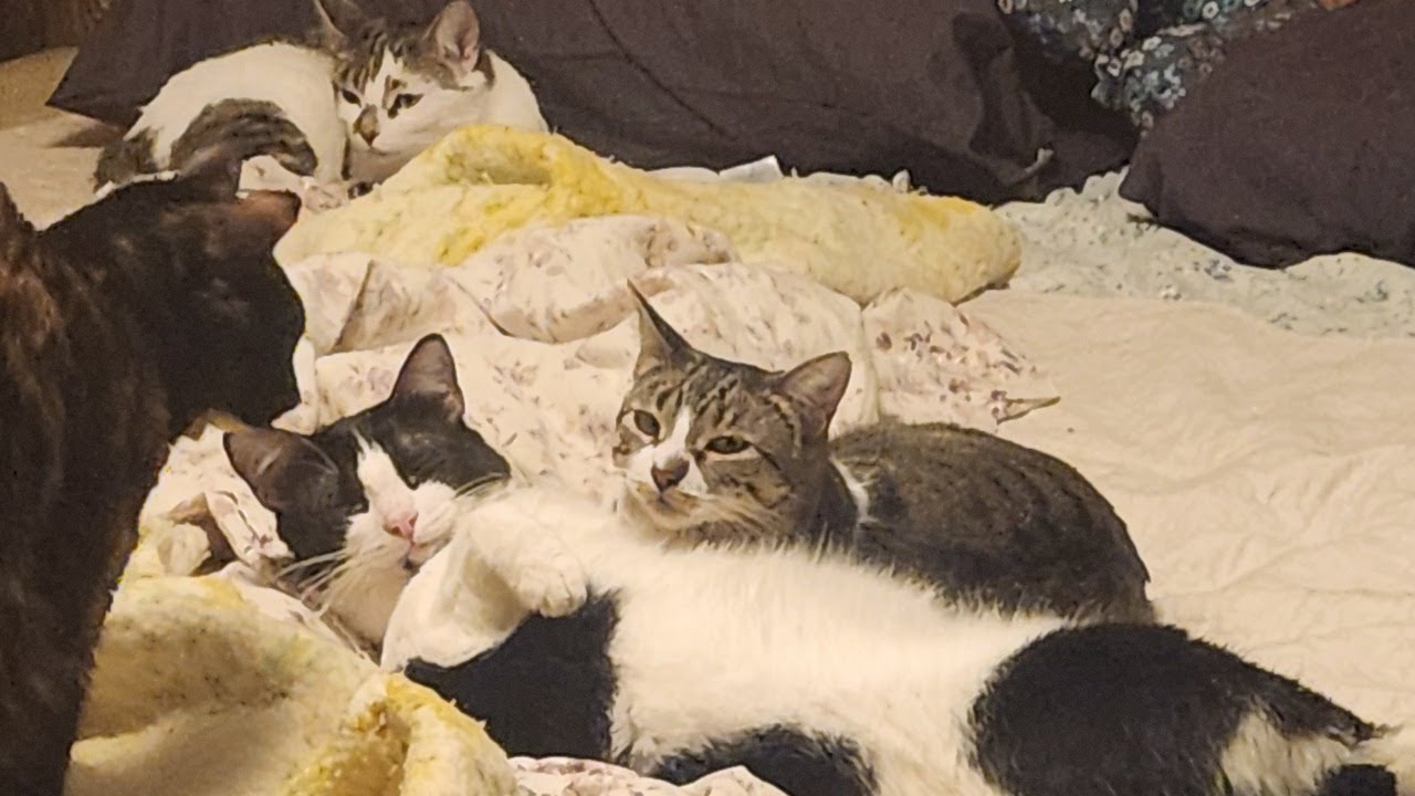 I'm Back! With Books! Let's Hang Out!