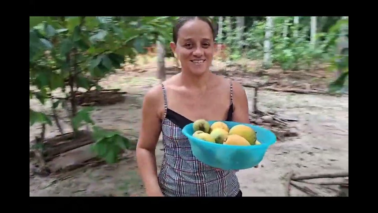 🍈 Da colheita à polpa: o processo do bacuri 🌳
