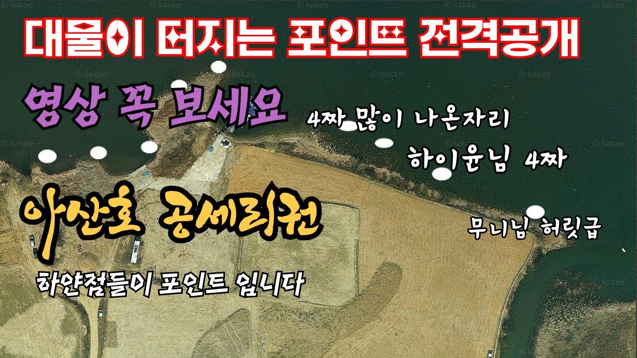 대물 포인트 전격 공개  아산호 공세리권
