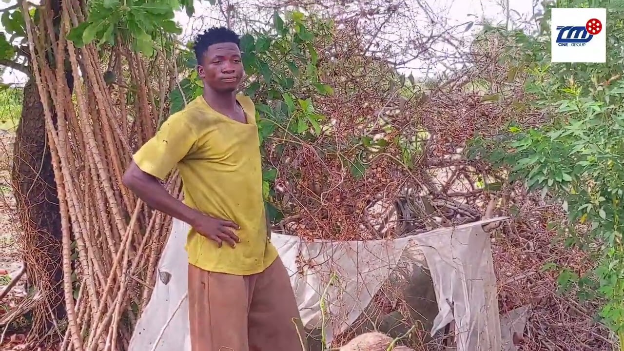 Brizz le malchanceux Épisode 1