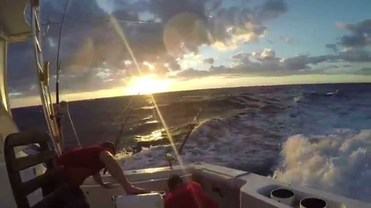 Fishing CABO EXPRESS 40