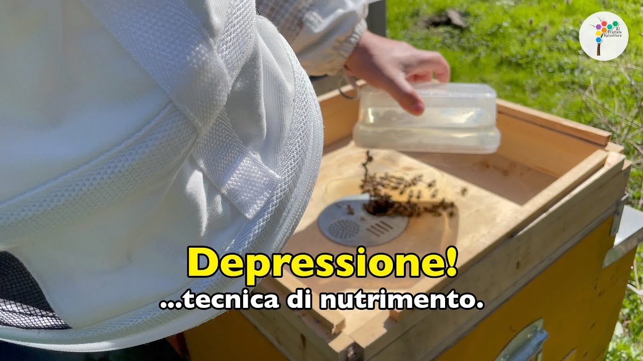 Nutrizione a depressione.