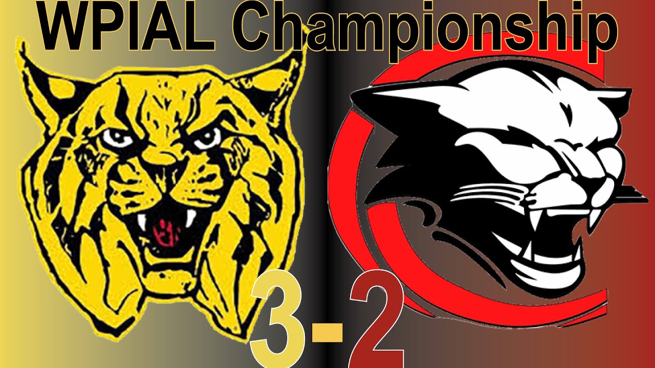 2023 WPIAL 1A Boys Soccer Championship: Charleroi vs. Bentworth Highlights