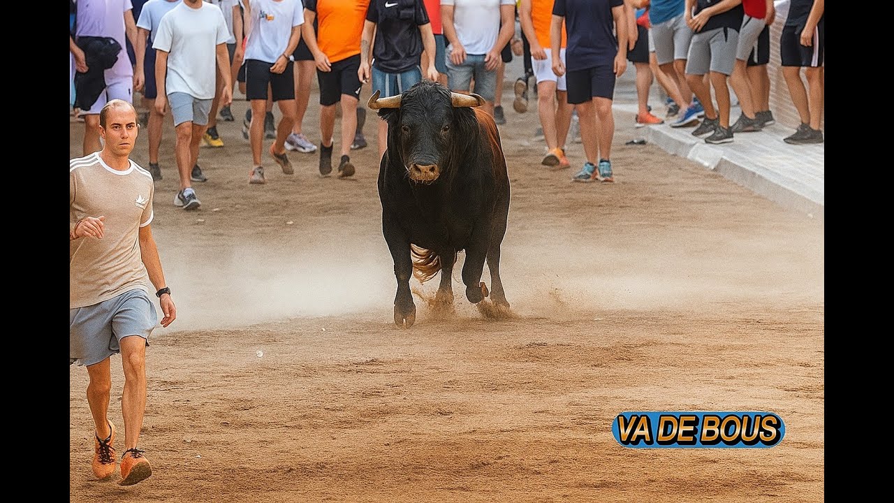 👉Massamagrell Vacas de la Paloma y 2 toros cerriles de Sergio Centelles y José Luis Pereda
