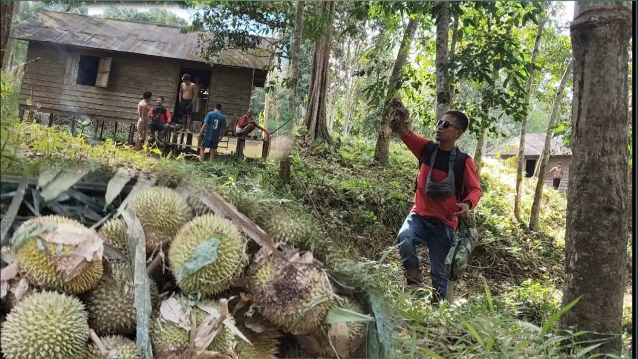 MUSIM BUAH DURIAN TIDUR DI PONDOK SERTA MENCARI IKAN PART 1 