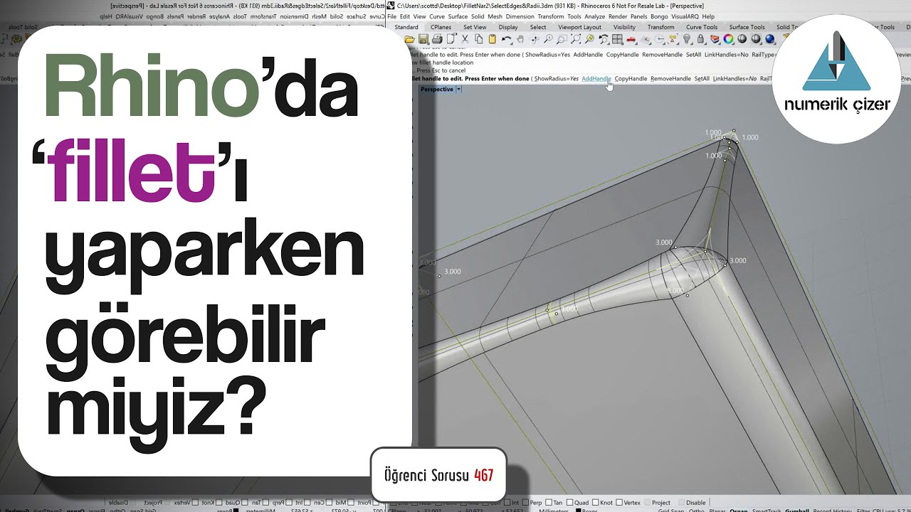 Rhino'da fillet yaparken, previewda geometriyi önden görerek çalışabilir miyiz? - Öğrenci Sorusu 467