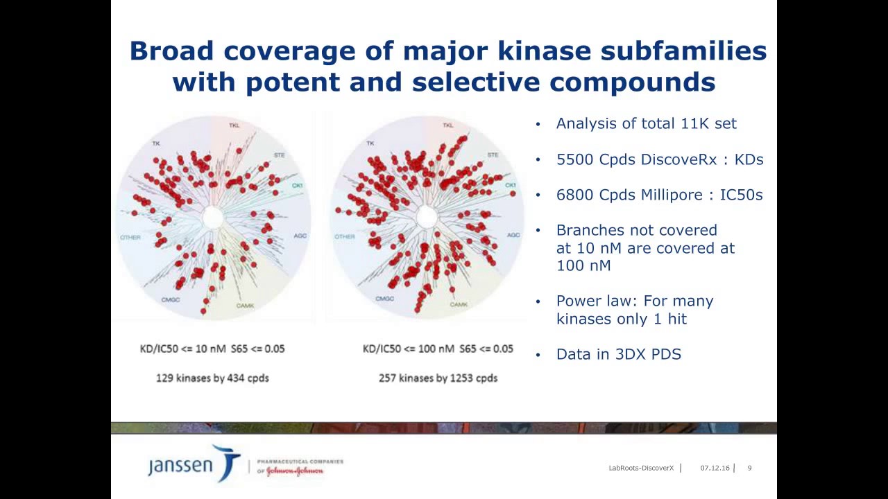 The Interplay of Kinase Broad Profiling and Phenotypic Screening