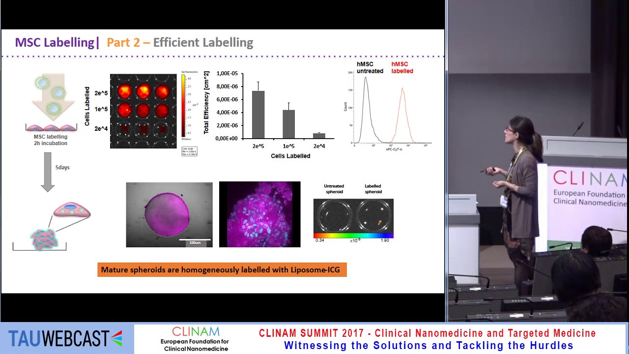Near Infra‐Red (NIR) Nanoprobes for Tracking of Human Mesenchymal Stromal Cells after Implantation