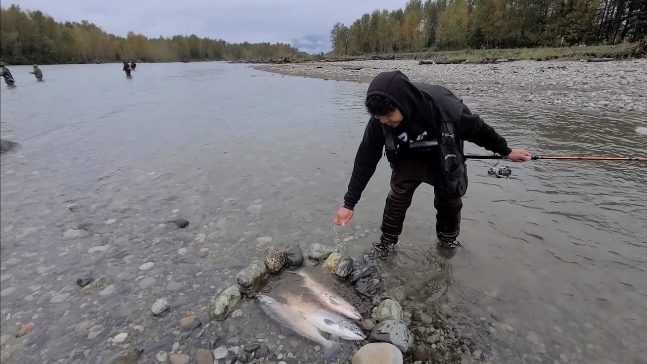 Catching Coho Salmon at the VEDDER River! Float Fishing
