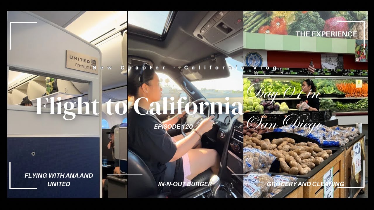 US VLOG l Flight to California & Day 01 in San Diego l ANA, UNITED, IN-N-OUT l heidishainevlogs💕