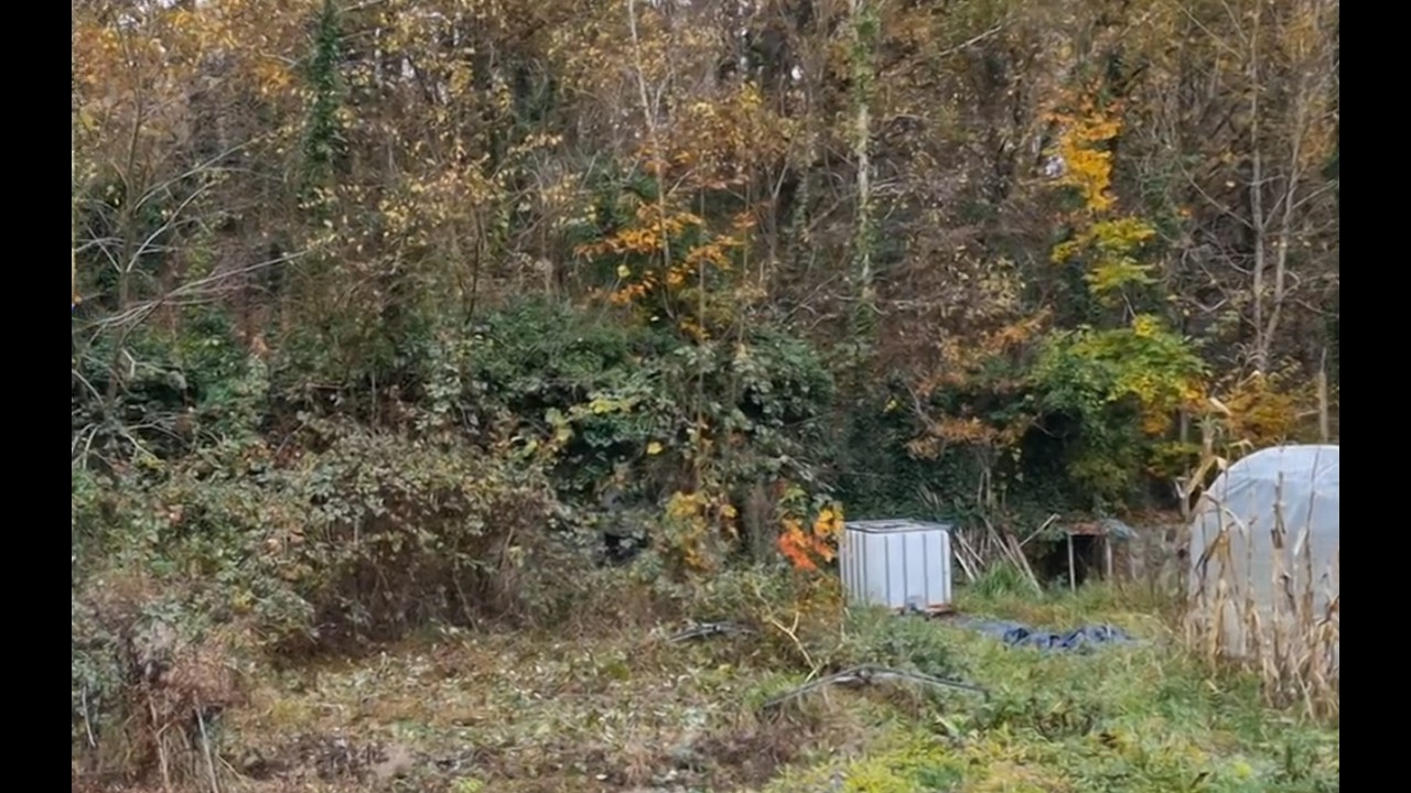 21-nouveau potager