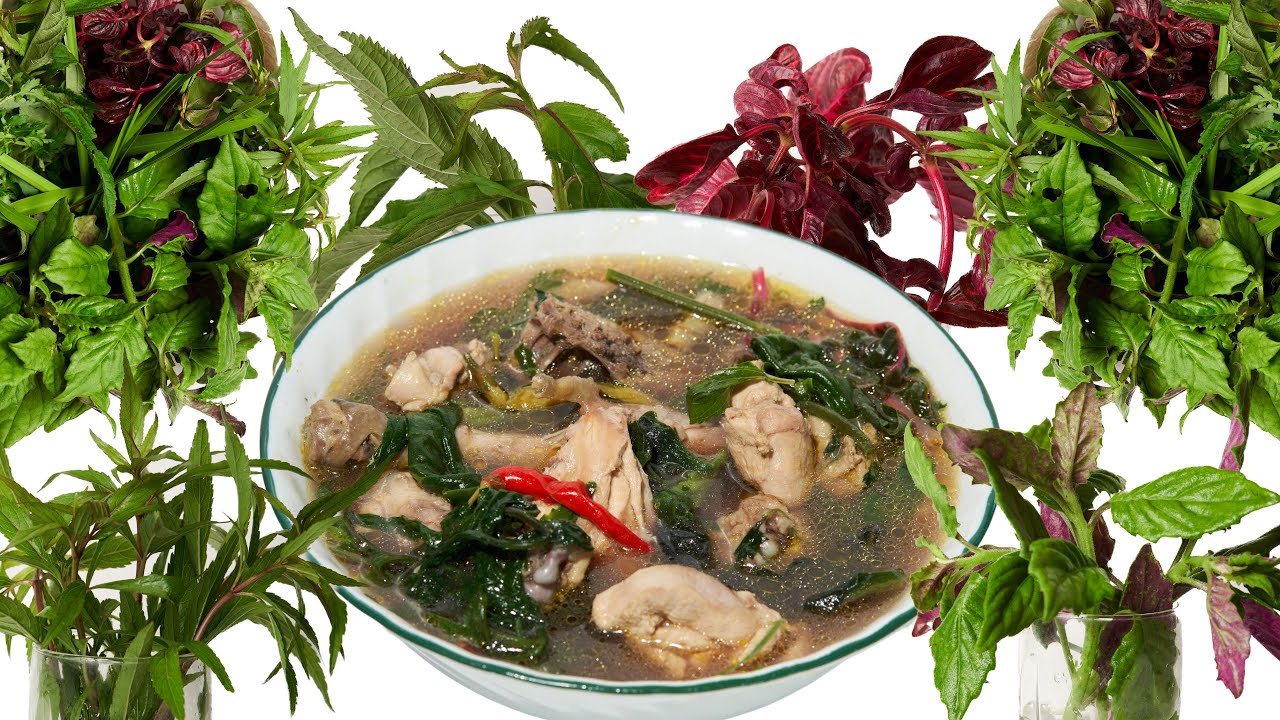 Learn Chicken Herbs' Names/Medicinal Uses: Part I | Tshuaj Rau Qaib | Everything Hmong