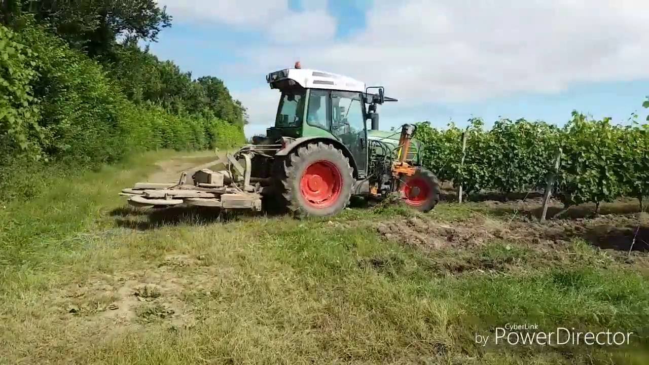 intercep BRAUN 2016