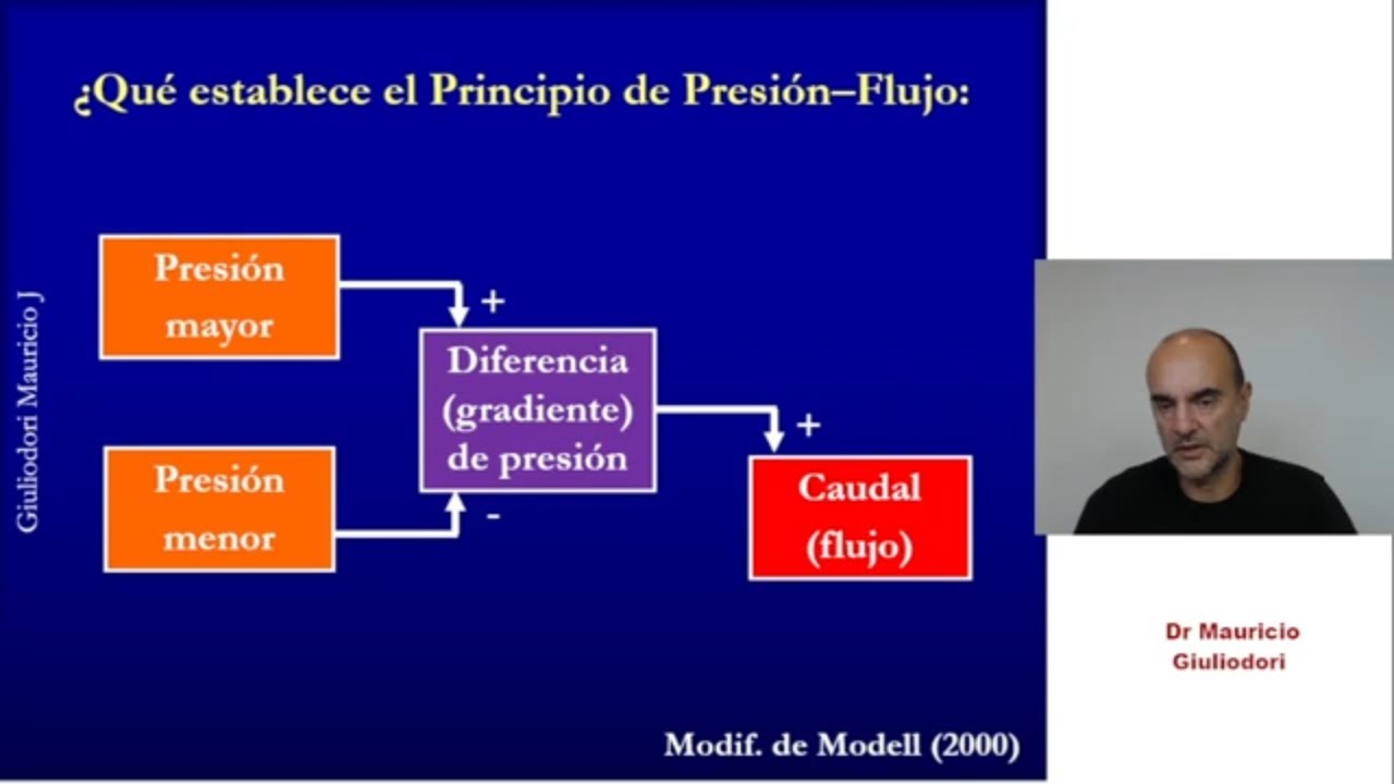 Principio fisiológico de fuerza – flujo o ley de Ohm ¿qué establece y para qué se usa?