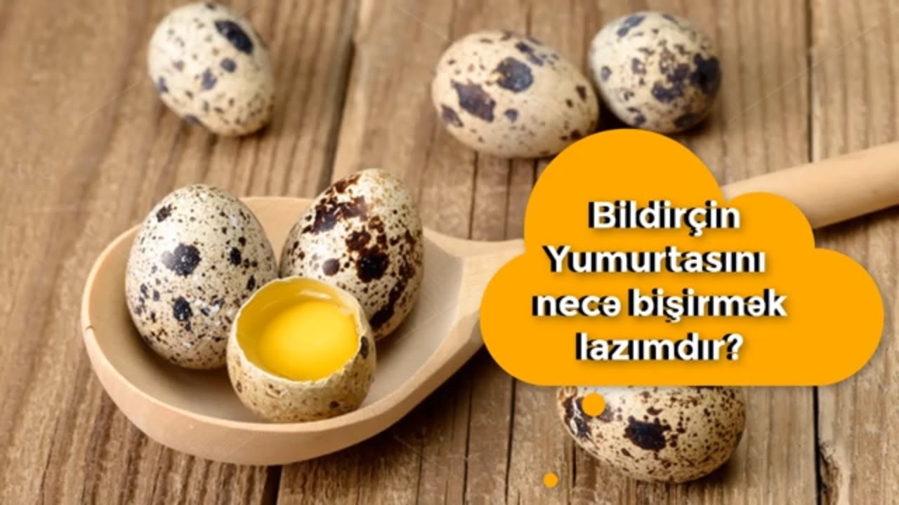 Kökəltmə xüsusiyyəti olan bildirçin yumurtasını necə bişirmək lazımdır?