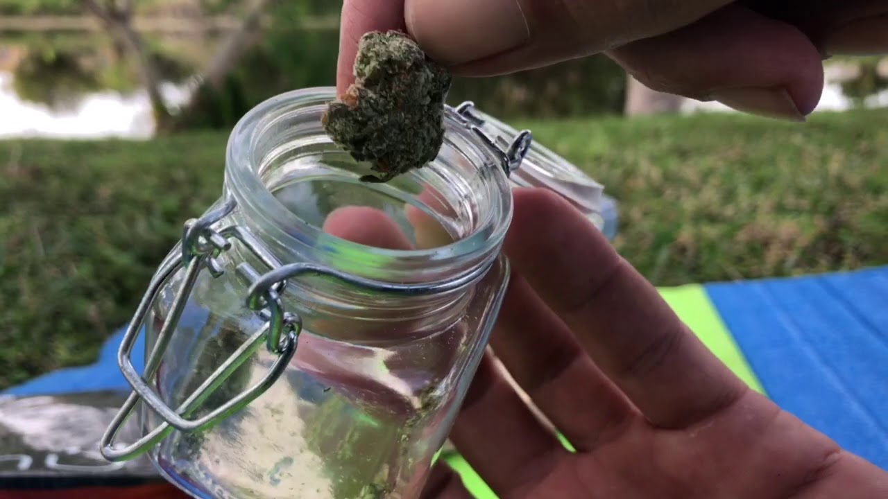 Altmed (Muv)Flower Pods Are Here Forum Cut Cookies Hybrid Fl MMJ Review