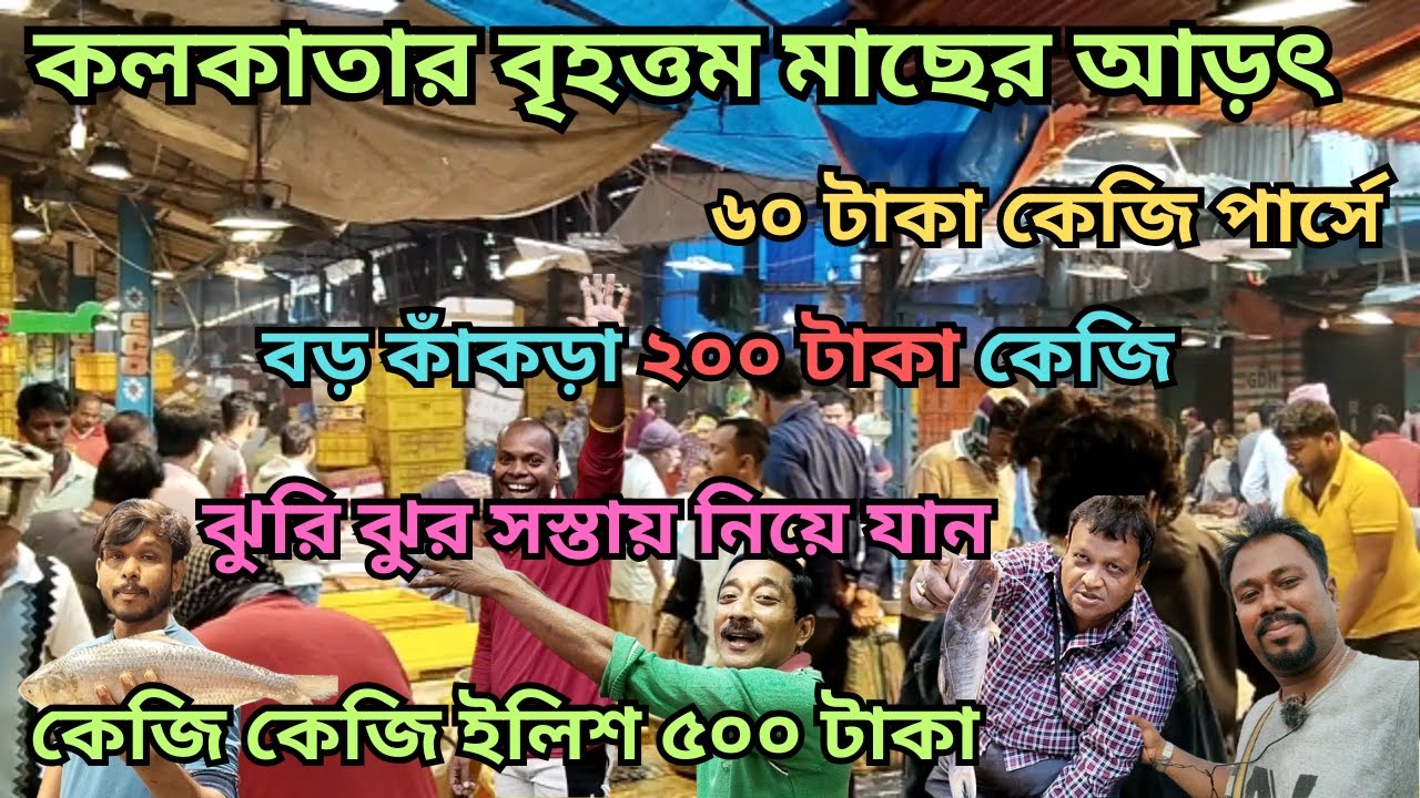 পশ্চিমবঙ্গের সবচেয়ে বড় মাছের মার্কেটের শীতকালীন মাছের দাম জানলে আপনি অবাক হবেন