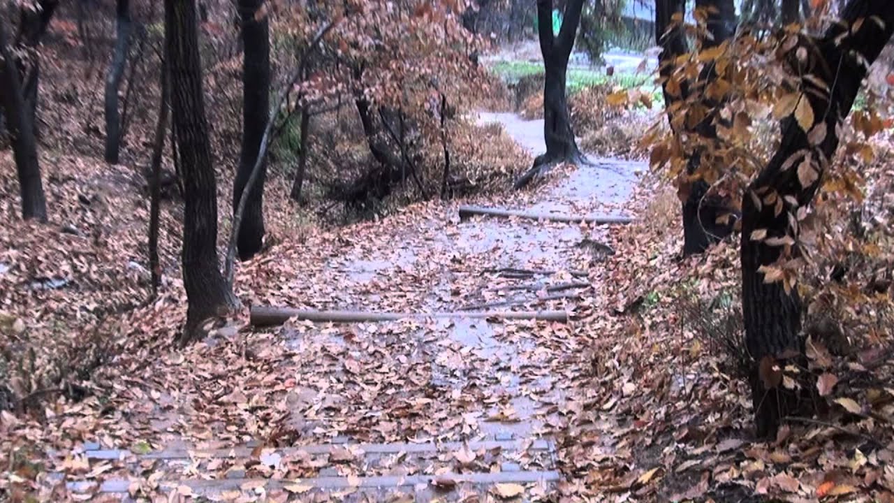송창식-오늘같은  날처럼