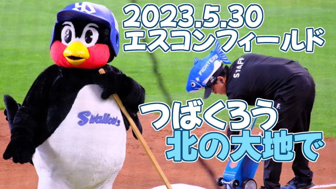 2023.5.30 エスコンフィールドつば九郎