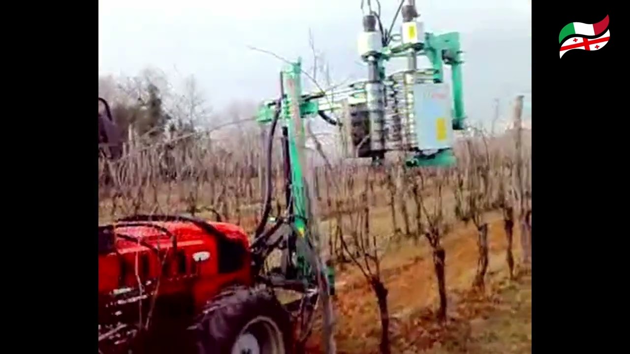 fama pre pruning