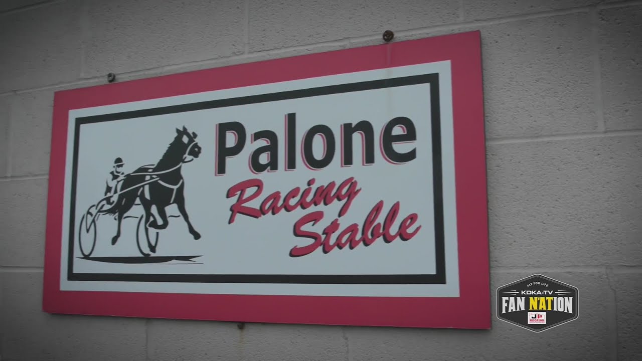 Dave Palone: The Sidney Crosby of harness racing