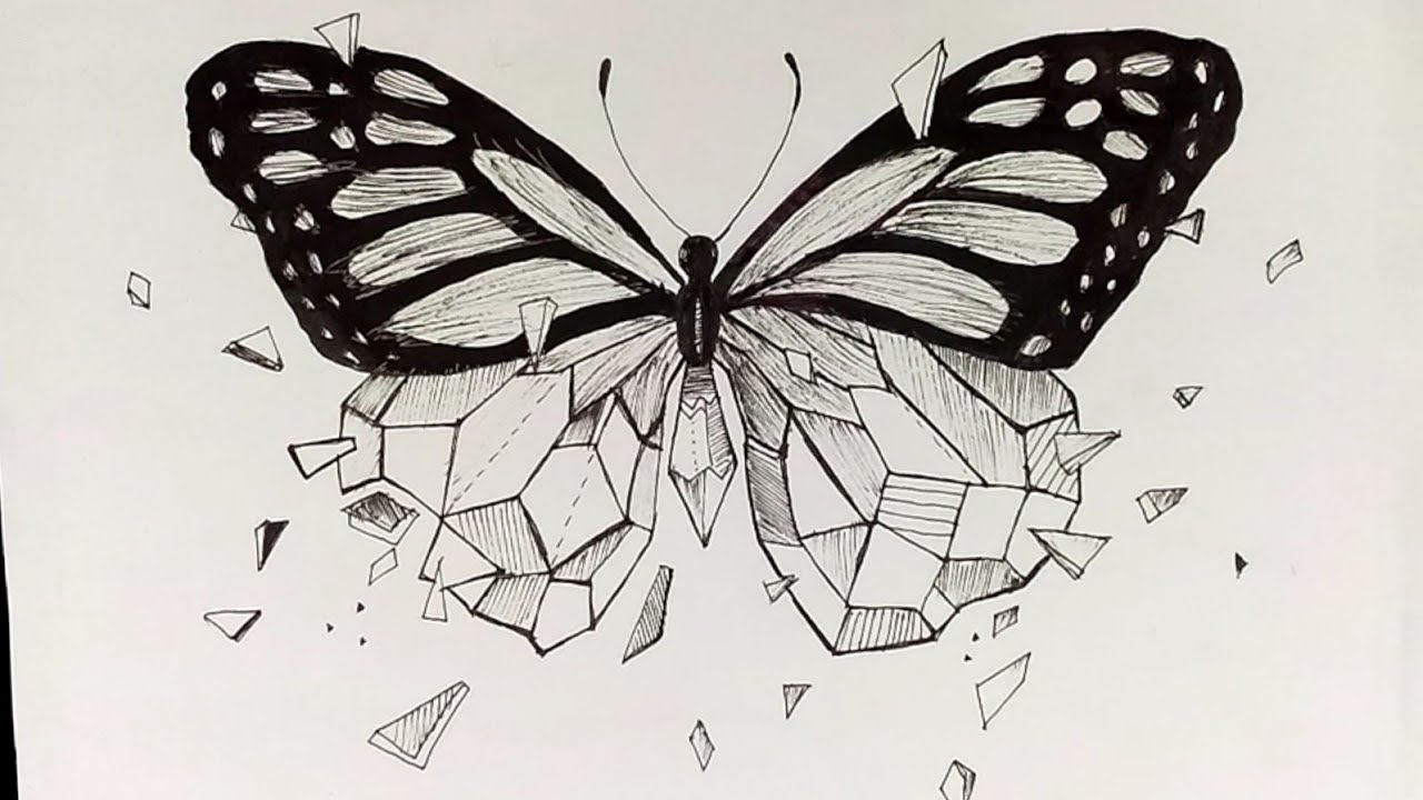 How To Draw Butterfly Easy || Butterfly Geometric Art Drawing