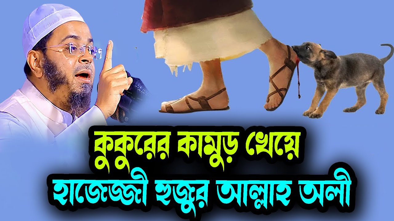 কুকুরের কামুড় খেয়ে হাজেজ্জী হুজুর আল্লাহ অলী নাসির উদ্দিন আনসারী ওয়াজ ২০২৬  Waz New 2026