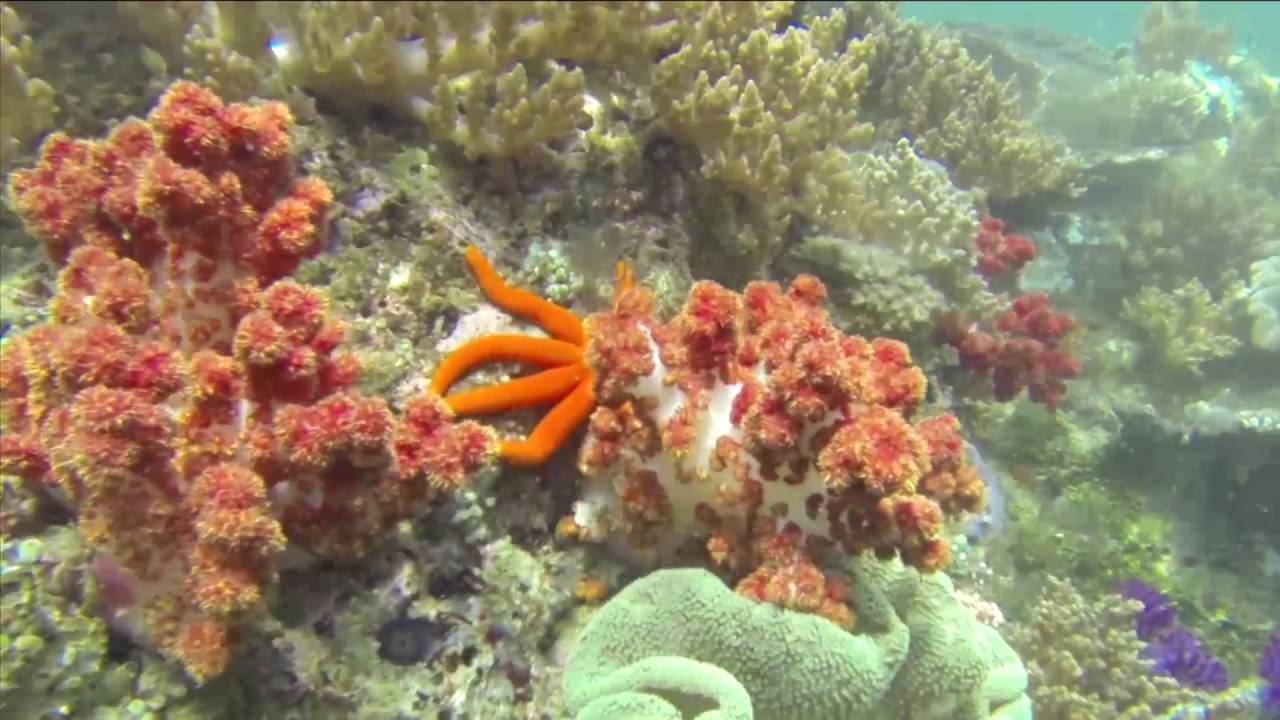 Visit Triton Bay Kaimana Papua Barat