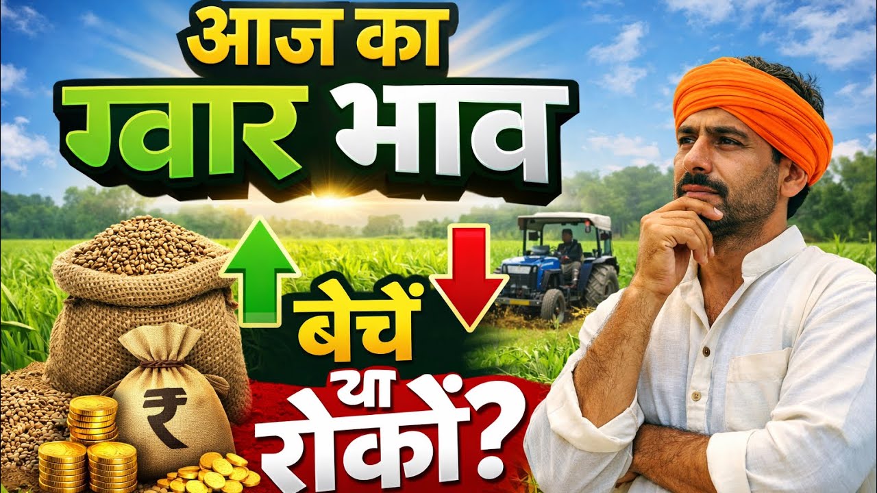 10 मार्च ग्वार भाव | नोहर और भादरा मंडी अपडेट | किसान क्या करें? 