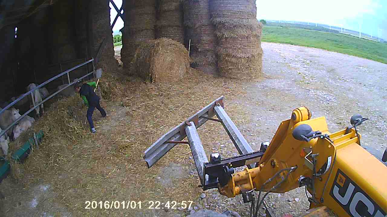 repoussage taurillon 2017 (bouffe)