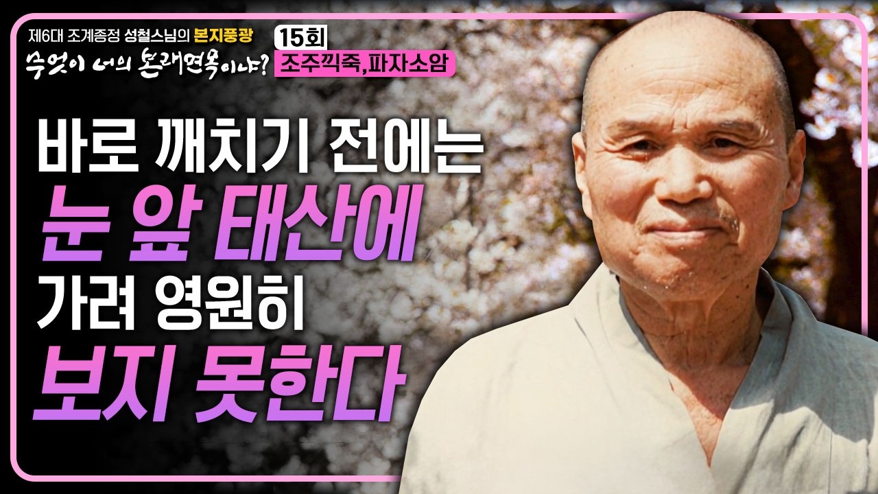 바로 깨치기 전에는 앞에 태산이 가려서 영원히 보지 못하게 된다 | 조계종정 성철스님의 본지풍광 무엇이 너의 본래면목이냐 15 #조주끽죽 #파자소암