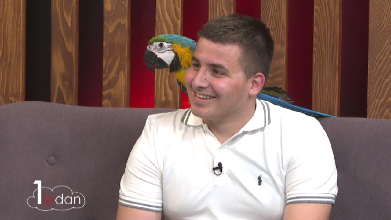 Papige pričalice u studiju TV1