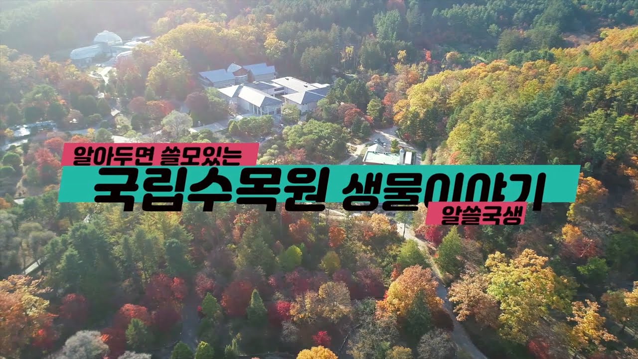 [알쓸국생] 
