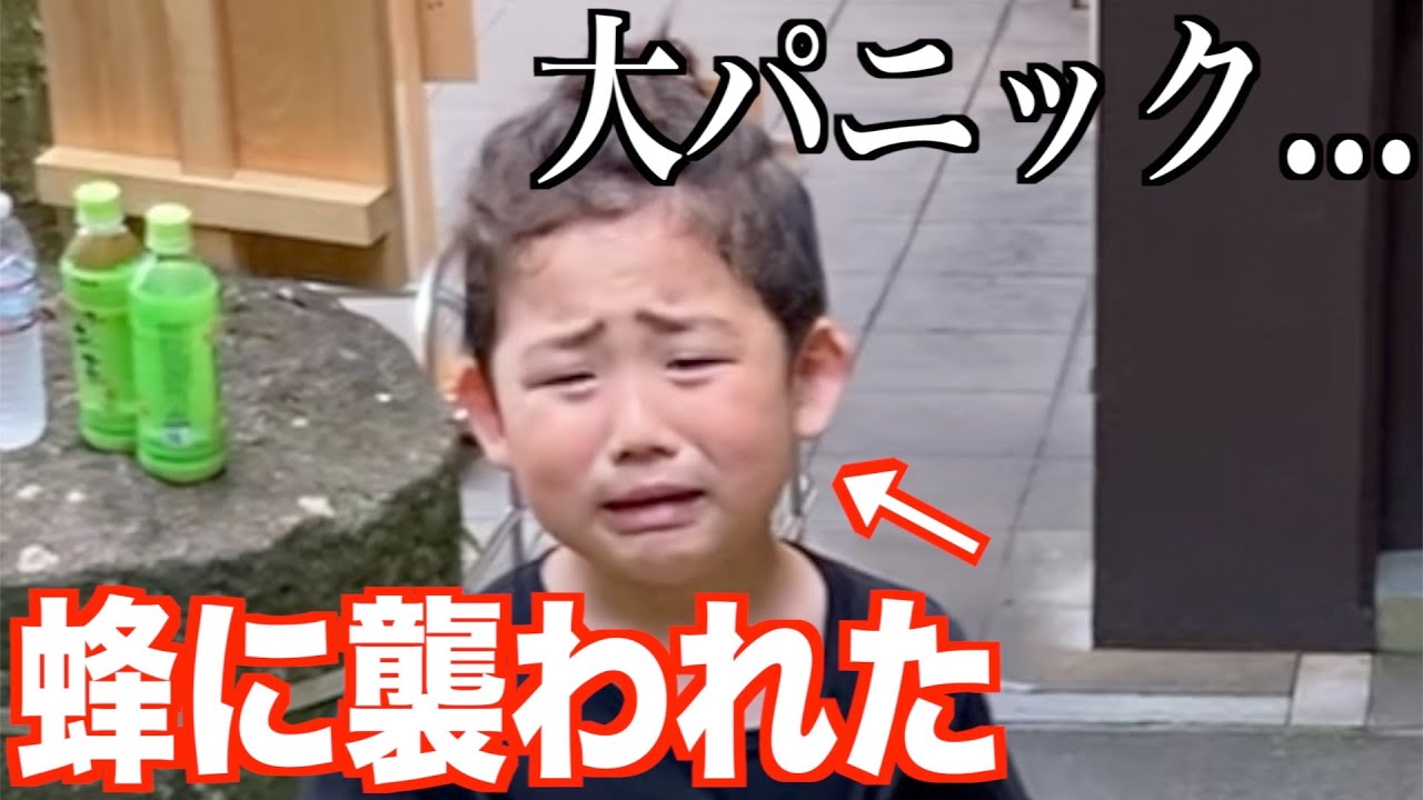 【緊急事態】次男がまた蜂に狙われた...｜世界遺産の滝【前編】