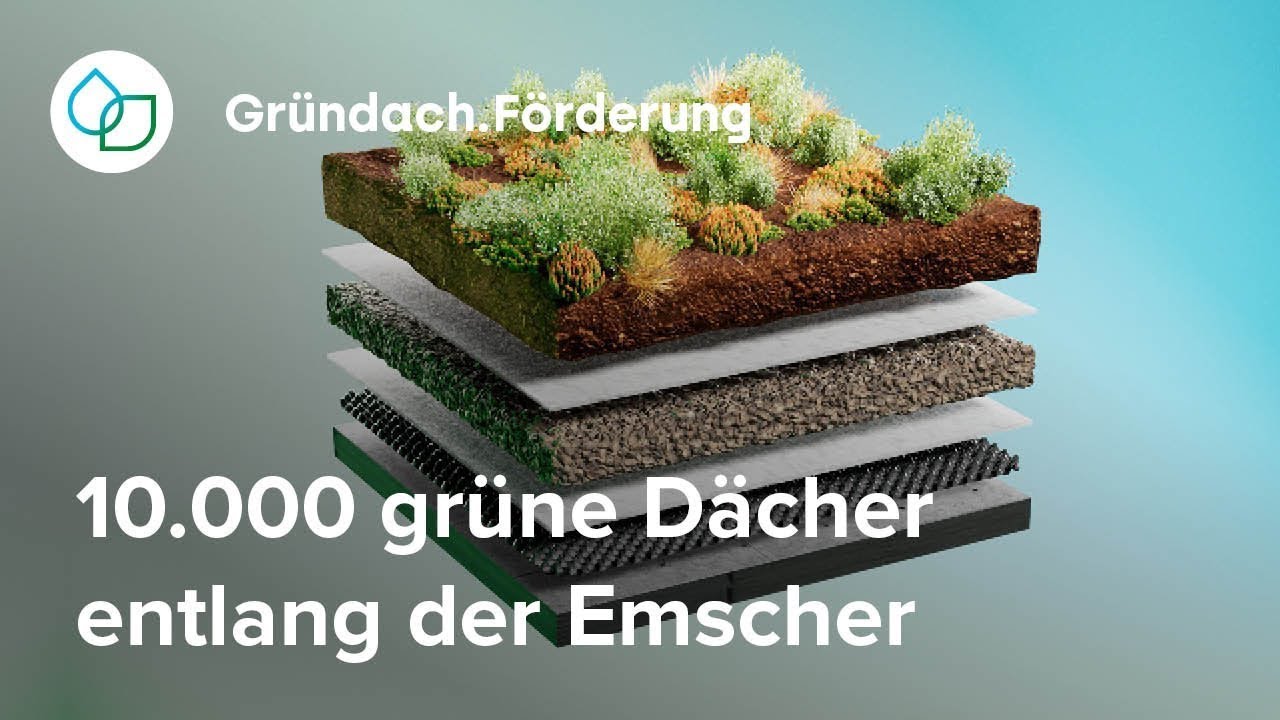 Einfache Dachbegrünung: 10.000 Dächer gefördert entlang der Emscher | Klima.Werk