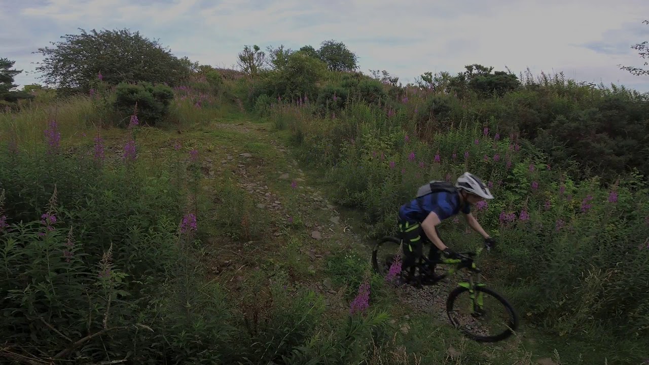 Boys and Bikes up Bummie