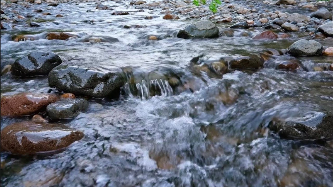 Tranquil Nature River Sounds | Continuous Flowing Water Ambience for Calm Mind & Deep Focus