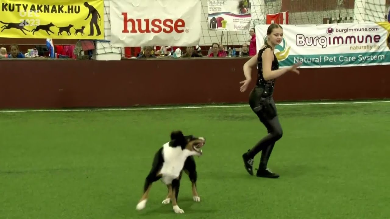 Dog Dancing European Championship 2023 Hungary   Freestyle Qualificion   Andrea Kohútová   Amir