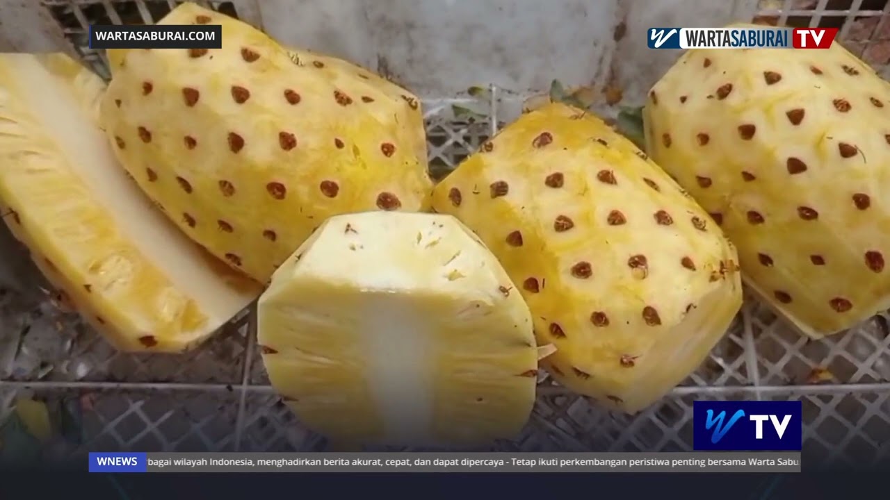 NANAS DIBURU EMAK EMAK JELANG LEBARAN, PEDAGANG KEBANJIRAN PEMBELI | WARTA SABURAI TV
