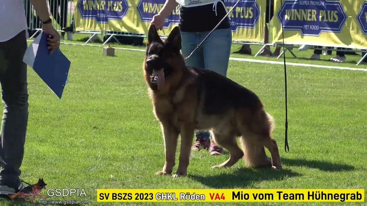 Mio vom Team H&uuml;hnegrab