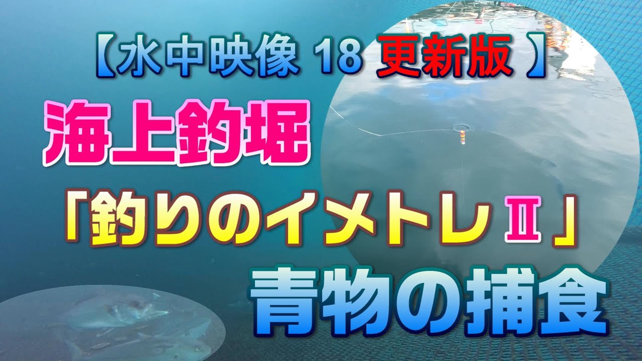 【 水中映像シリーズ 18  】【更新版】海上釣堀 　釣りのイメトレⅡ　青物の捕食