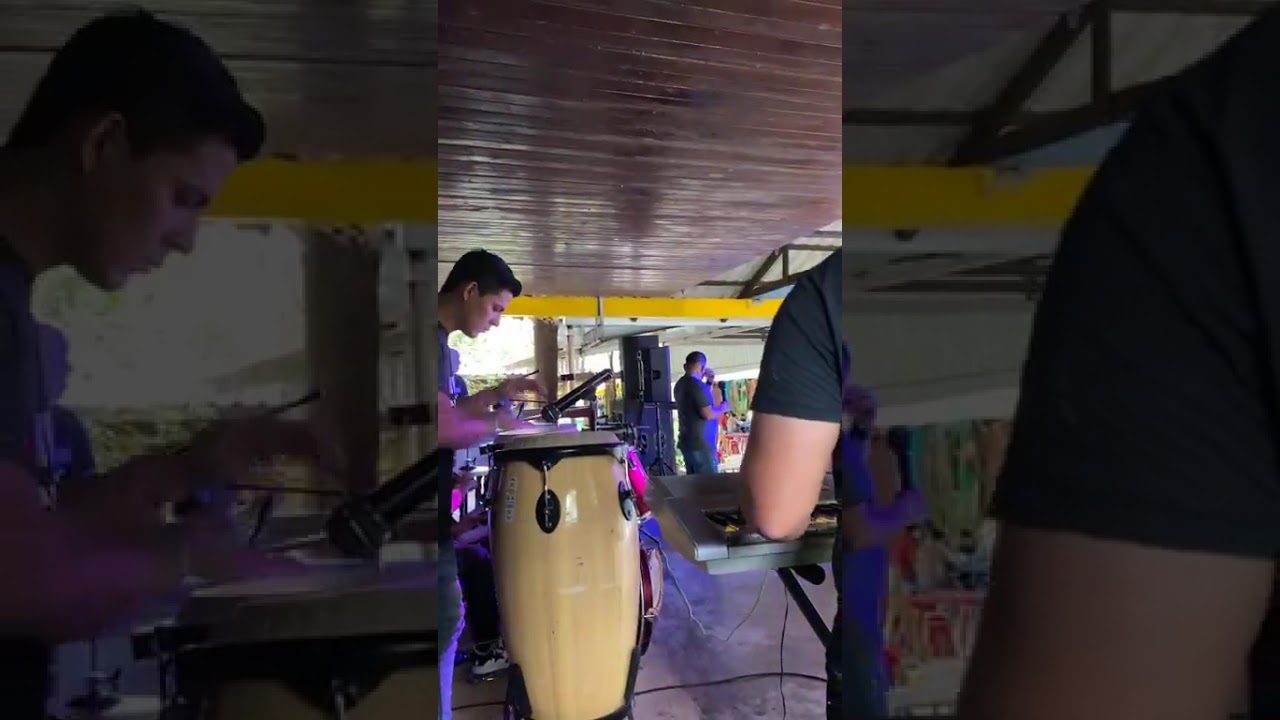 La Avispa Marimba Sanvicentina 
