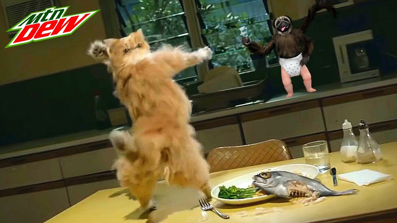 Top 10 Funniest Mountain Dew Commercials EVER!