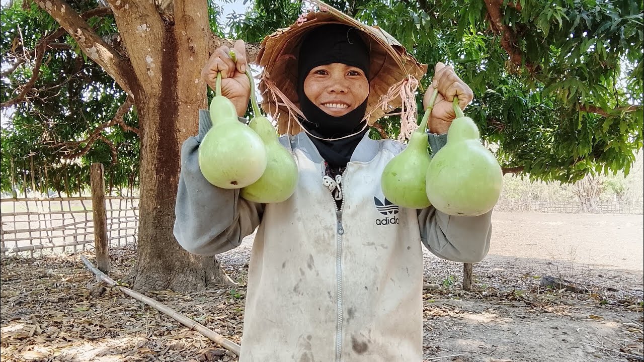 //ພາພີ່ນ້ອງຍ່າງເບິ່ງສວນສາວລາວ//พาพี่น้องเดินชมสวนสาวลาว//