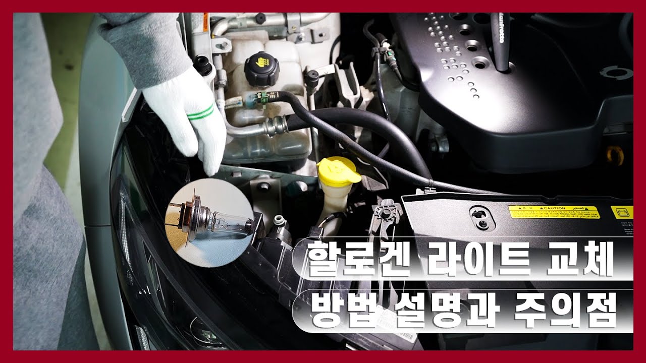 [리뷰] SM6 차량 할로겐 라이트 교체하기 주의사항 및 라이트 가격 교체방법 상세 설명