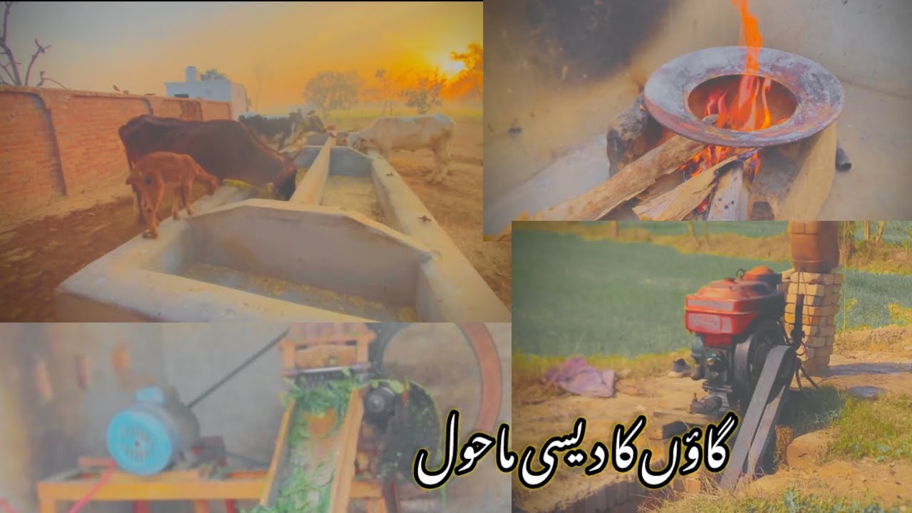 گاؤں کا دیسی ماحول