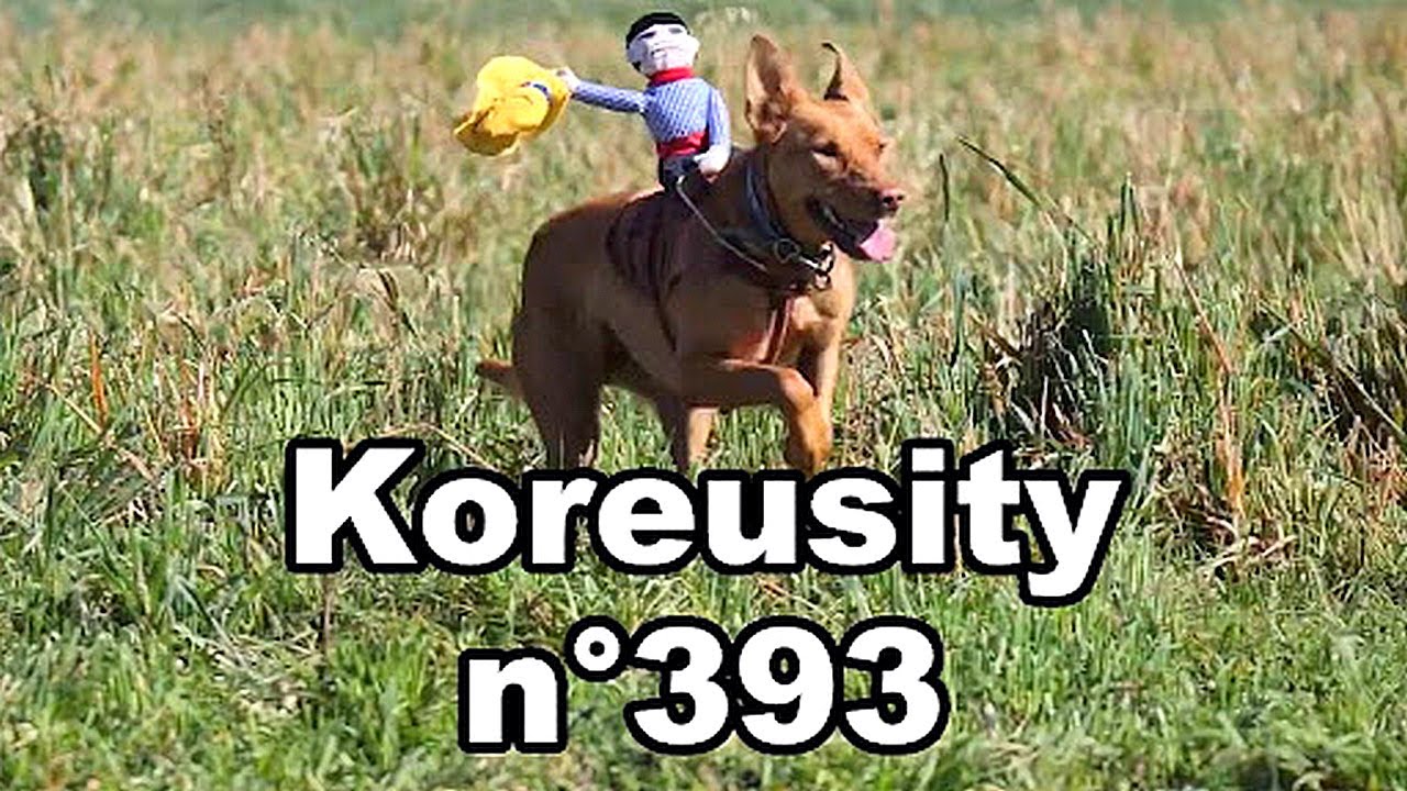 Zap Koreusity n°393 le zapping du web 2021